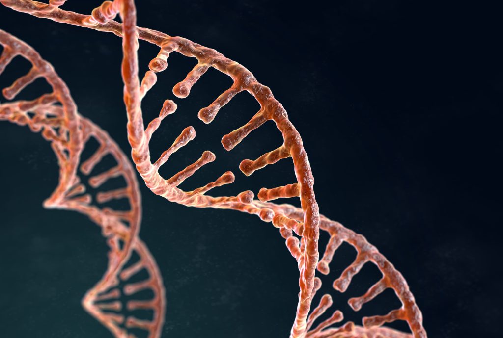 Genetics and molecular analysis